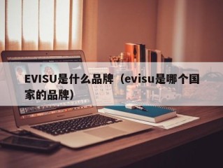 EVISU是什么品牌（evisu是哪个国家的品牌）