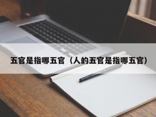 五官是指哪五官（人的五官是指哪五官）