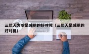 三伏天为啥是减肥的好时候（三伏天是减肥的好时机）