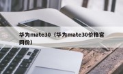 华为mate30（华为mate30价格官网价）
