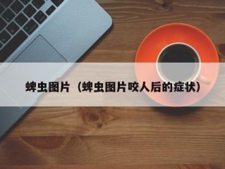 蜱虫图片（蜱虫图片咬人后的症状）