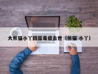 大熊猫小丫因尿毒症去世（熊猫 小丫）