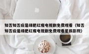 知否知否应是绿肥红瘦电视剧免费观看（知否知否应是绿肥红瘦电视剧免费观看星辰影院）