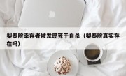 梨泰院幸存者被发现死于自杀（梨泰院真实存在吗）